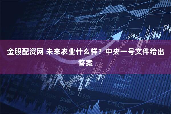 金股配资网 未来农业什么样？中央一号文件给出答案