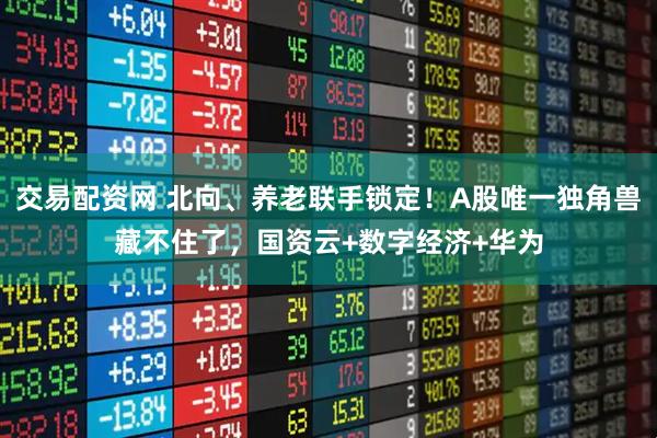 交易配资网 北向、养老联手锁定！A股唯一独角兽藏不住了，国资云+数字经济+华为