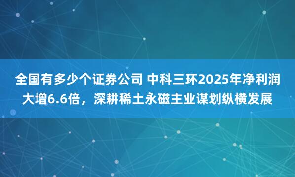 全国有多少个证券公司 中科三环2025年净利润大增6.6倍，深耕稀土永磁主业谋划纵横发展